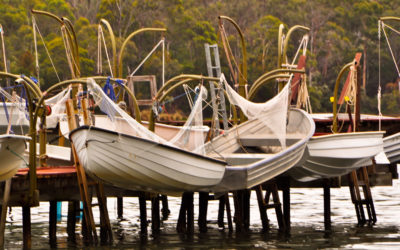 On the move south – Tasmania