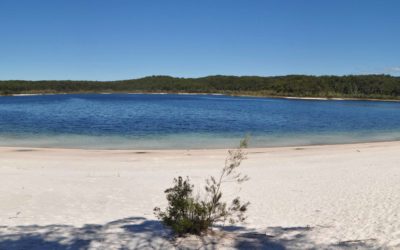 Kingfisher Bay / Urangan